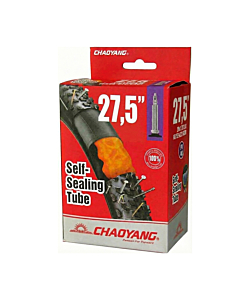 Chambre à air VTT avec Préventif ChaoYang 29x2.50-3.00 Presta 48mm